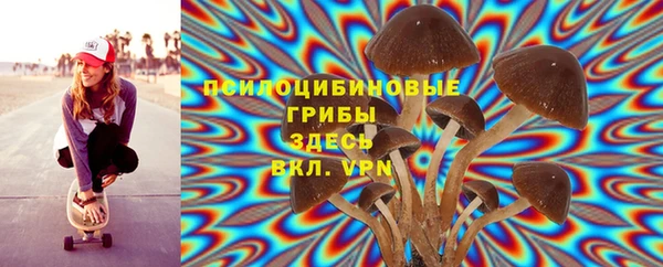 амфетамин Алексеевка