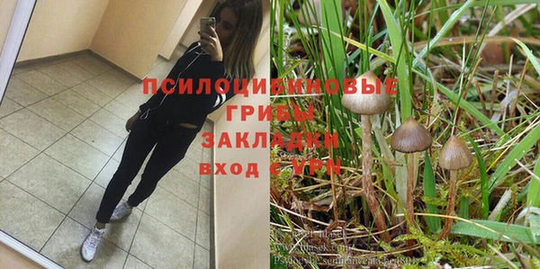 амфетамин Алексеевка