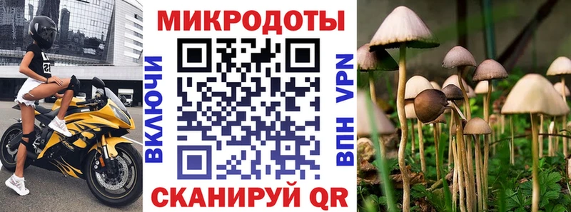 сколько стоит  Александровское  mega   Псилоцибиновые грибы Psilocybe 